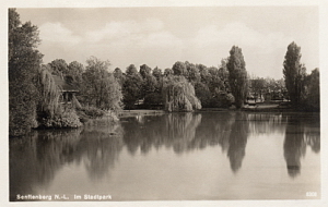 Senftenberg